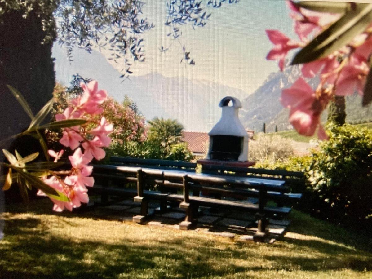 Appartamento Peppino Mit Seeblick Und Pool 加尔达湖滨 外观 照片