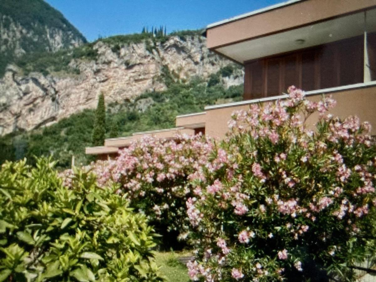 Appartamento Peppino Mit Seeblick Und Pool 加尔达湖滨 外观 照片